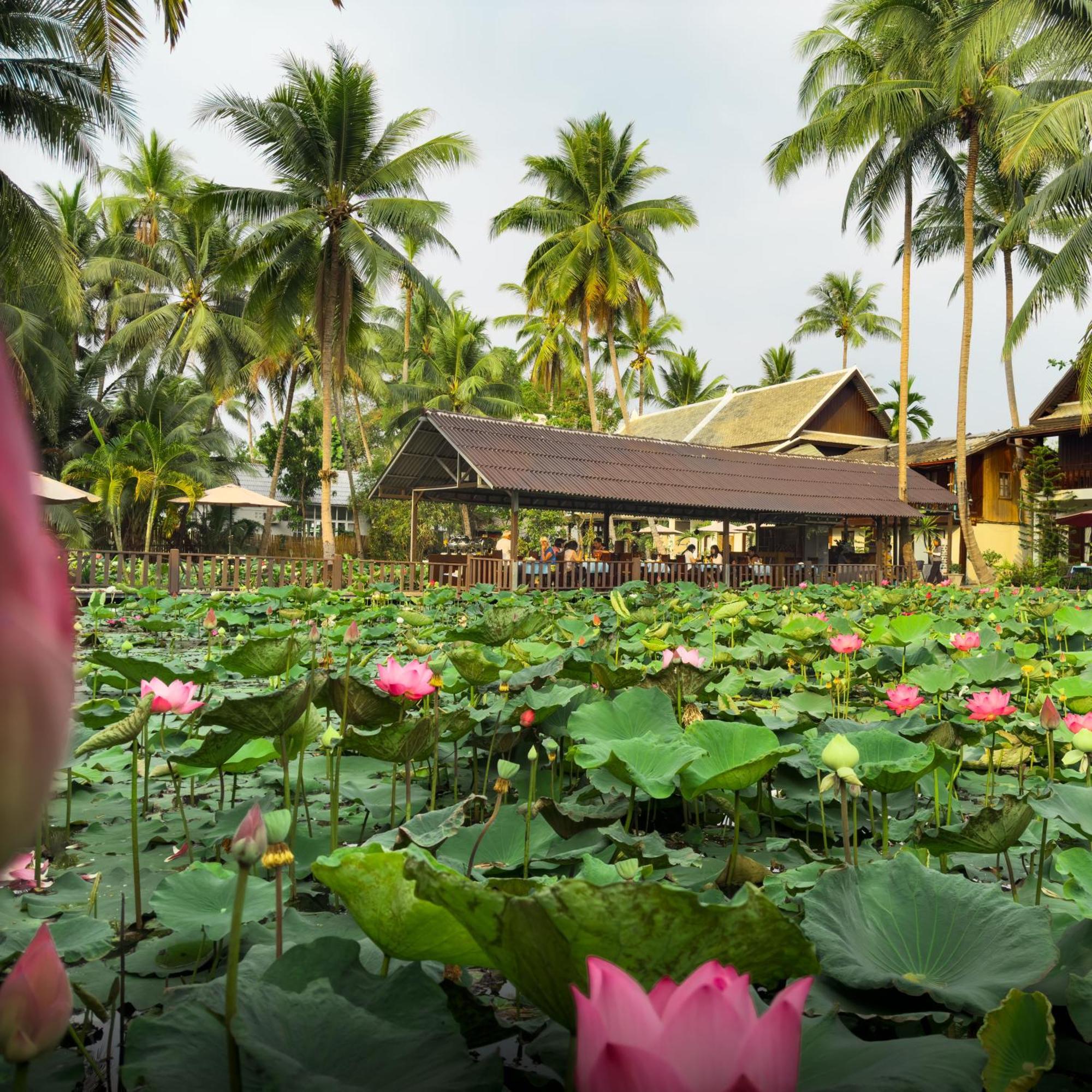 Villa Oasis Luang Prabang Eksteriør billede